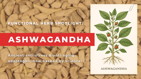 Ashwagandha: The Most Studied Longevity & Stress Reduction Herb