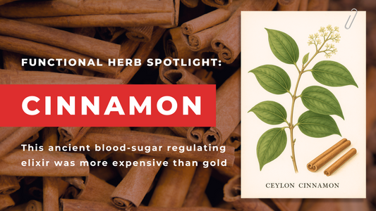 Cinnamon: More Valuable Than Gold