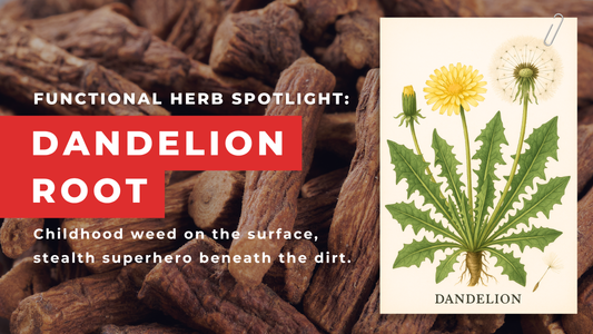 Dandelion Root: Humble Weed Moonlights as Medicinal Superhero